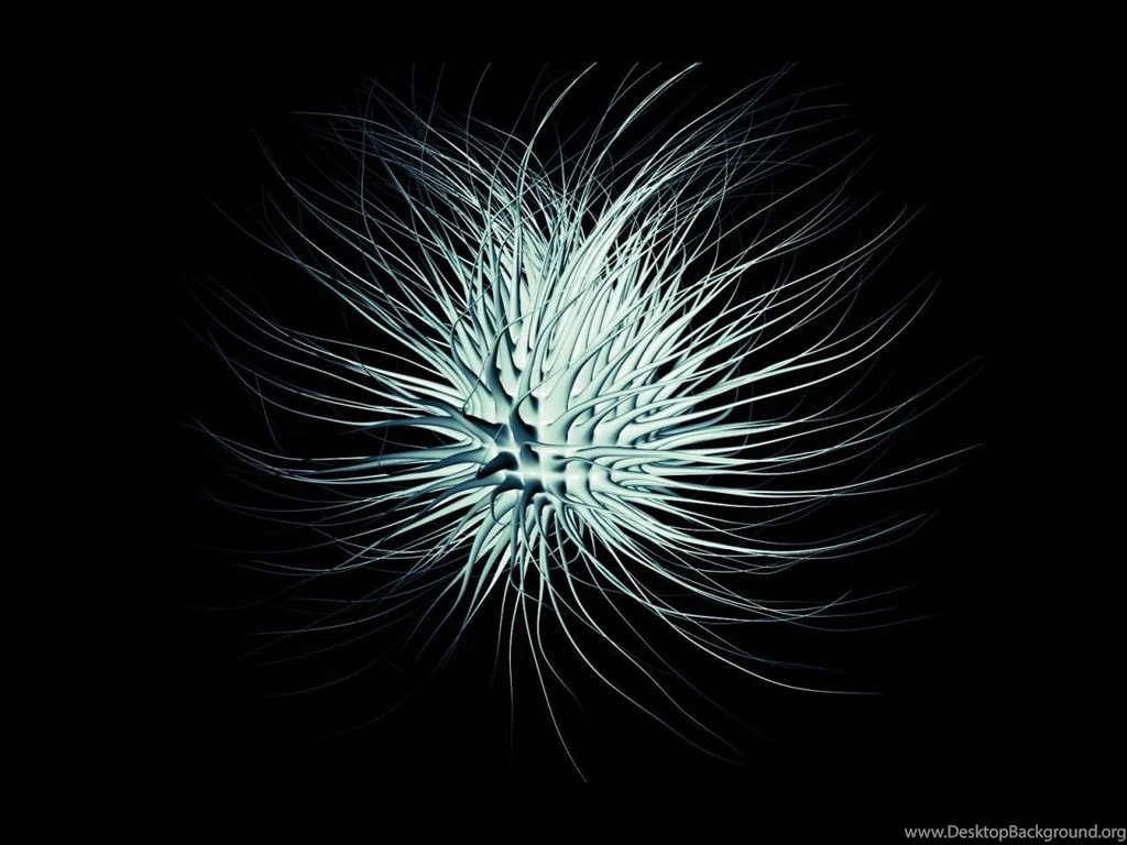 Free Screensavers And Wallpapers KScreensavers.com