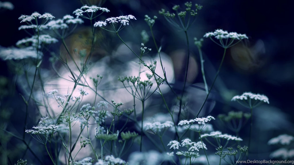 Desktop Backgrounds For Imac 27 Inch   Imac Wallpapers Desktop