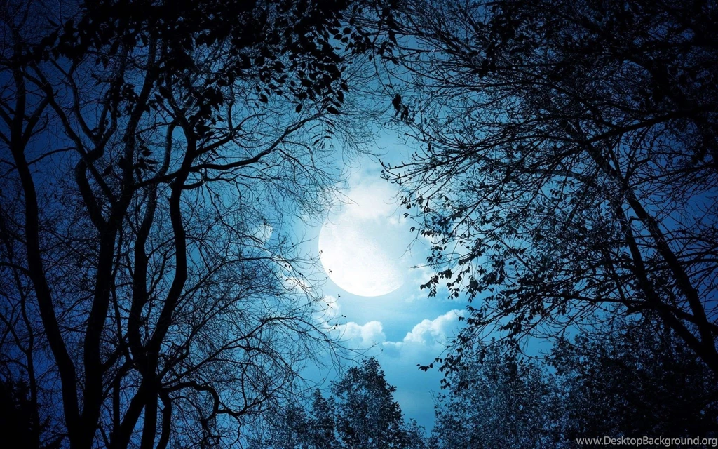 Beautiful Night HD Wallpapers ~ Toptenpack.com