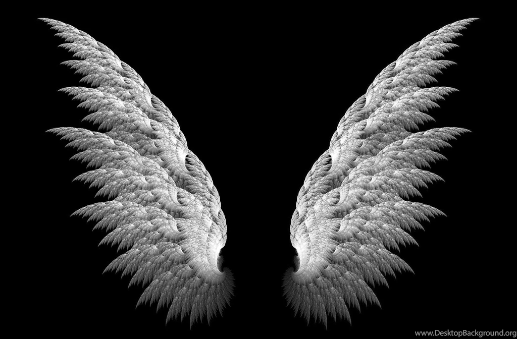 Wings 3d Black Backgrounds