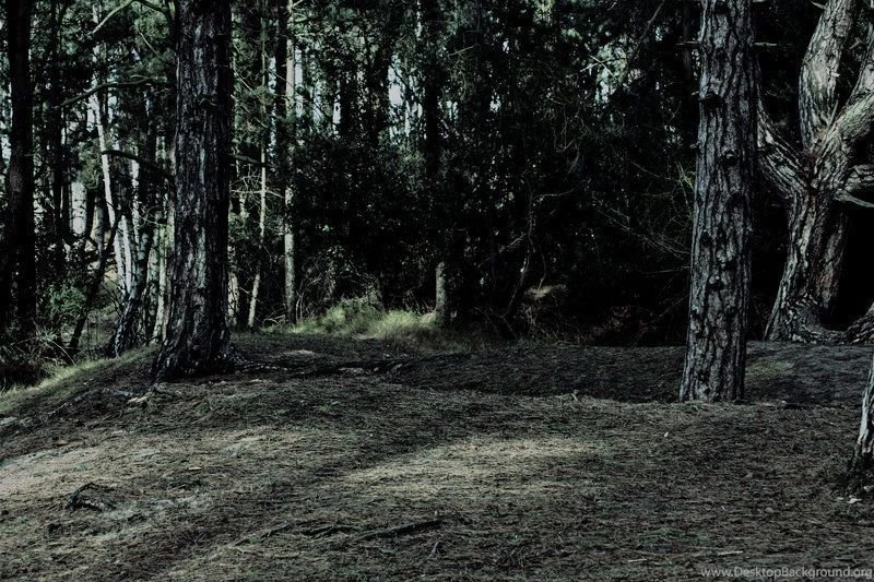 Dark Woods Stock By S uperflu0us On DeviantArt