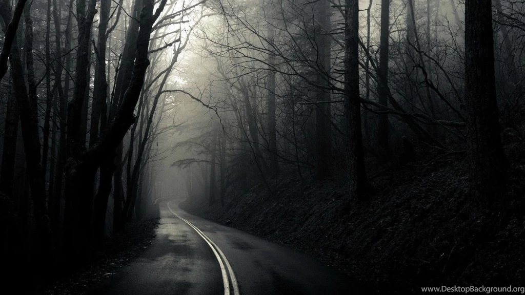 Dark Woods Wallpapers Free