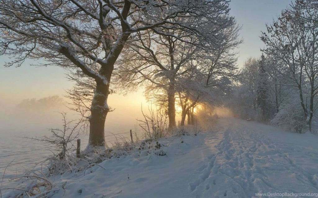 Winter Path HD Wallpaper, Winter Path Images Free
