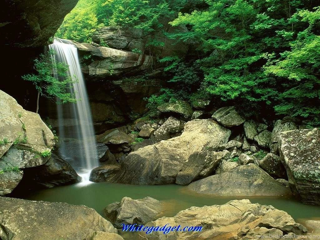 Hd Nature Wallpapers For PC All Wallpapers New