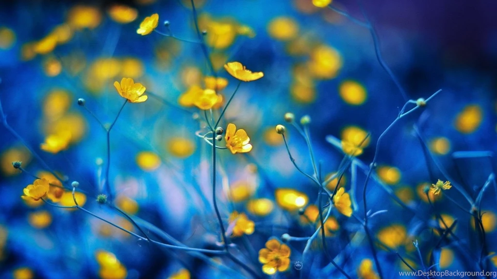 Spring Bokeh Widescreen Wallpapers