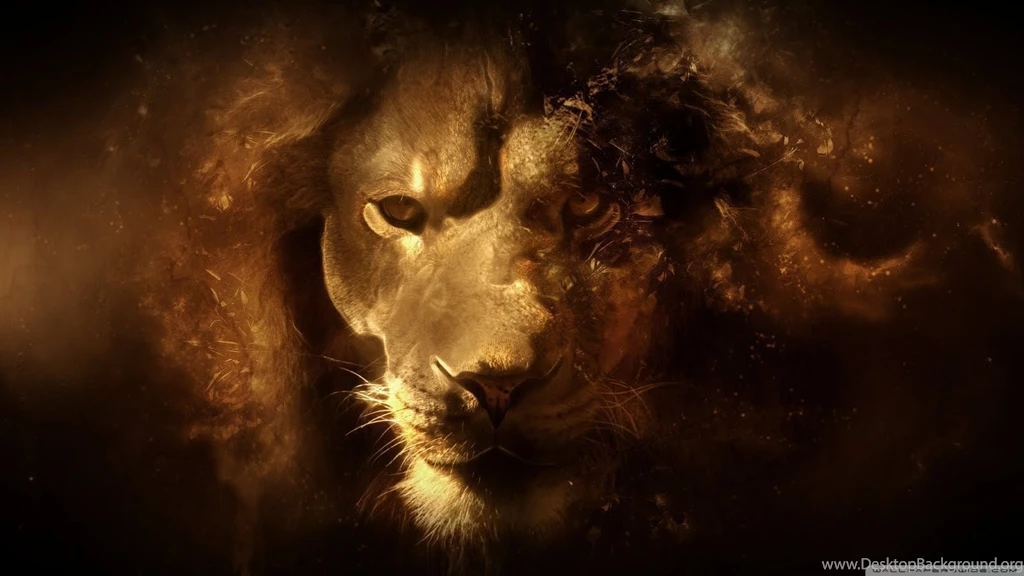 Lion Wallpapers Full HD [1600x900]   Free Wallpapers Full Hd 1080p ...