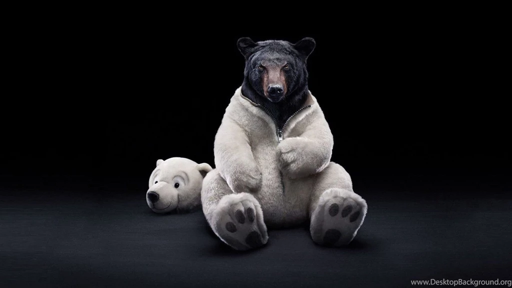 Black Bear Dressed As A Polar Bear Wallpapers