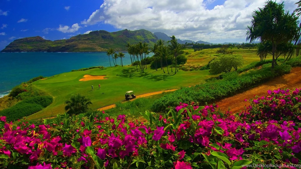 40 Golf HD Wallpapers