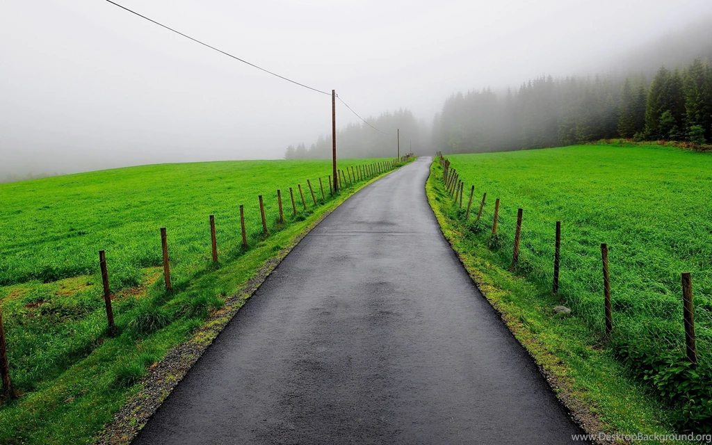 Download Wallpapers 2560x1600 Asphalt, Wet, Road, Grass, Protection ...