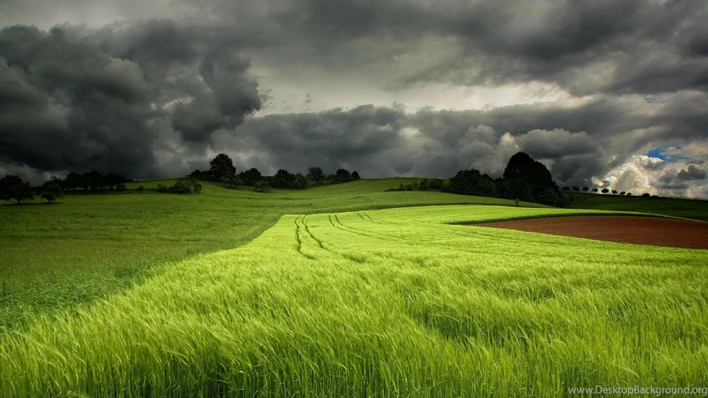 Summer Green Fields, Cloudy Sky Wallpapers