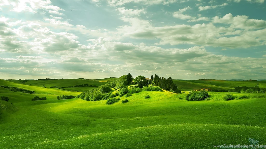 Delightful Scenes Of Field Wallpapers