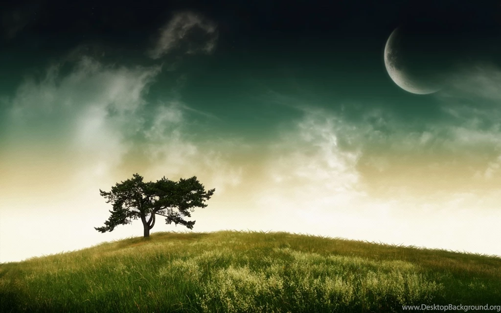 Tree Wallpapers Hd 119158