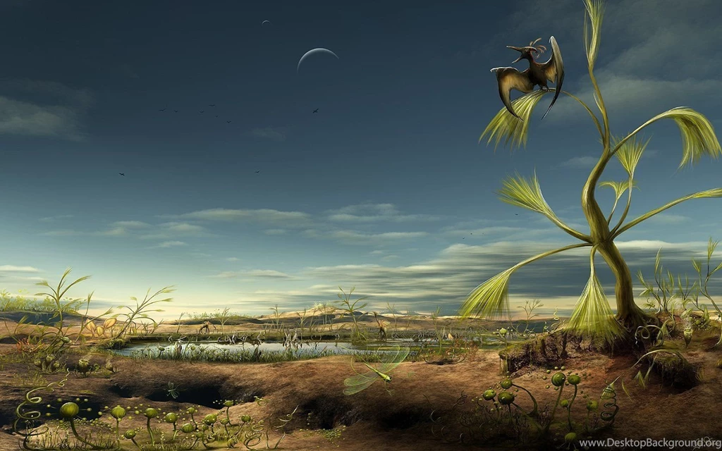 Sailing The Desert Desktop Wallpapers 23131   Desktop Wallpapers ...