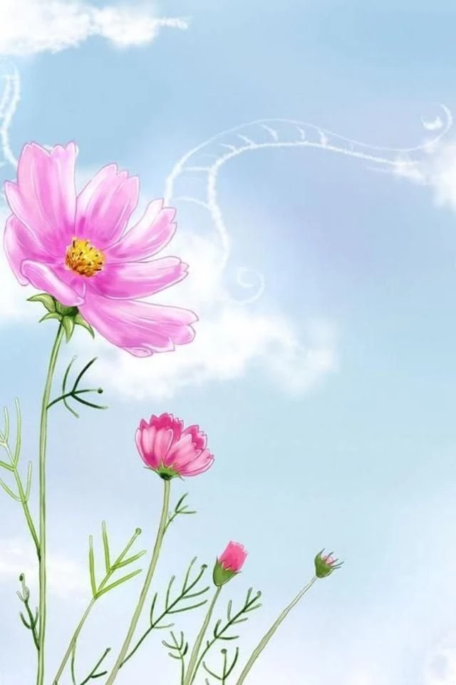 Free Iphone Wallpapers Hd: Cute Flowers Iphone Wallpapers