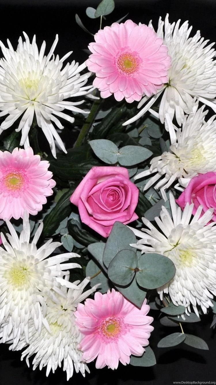 Full HD Rose Bouquet Gerbera Flowers iPhone 6 Wallpapers And ...