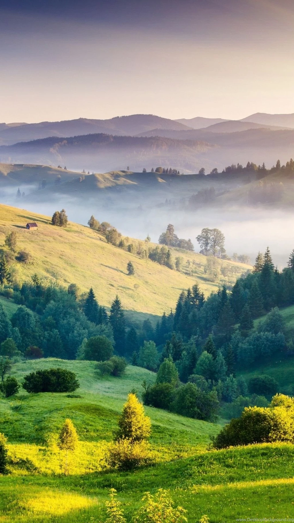 Download HD Green Mountains Grass Field Summer Day Wallpapers ...