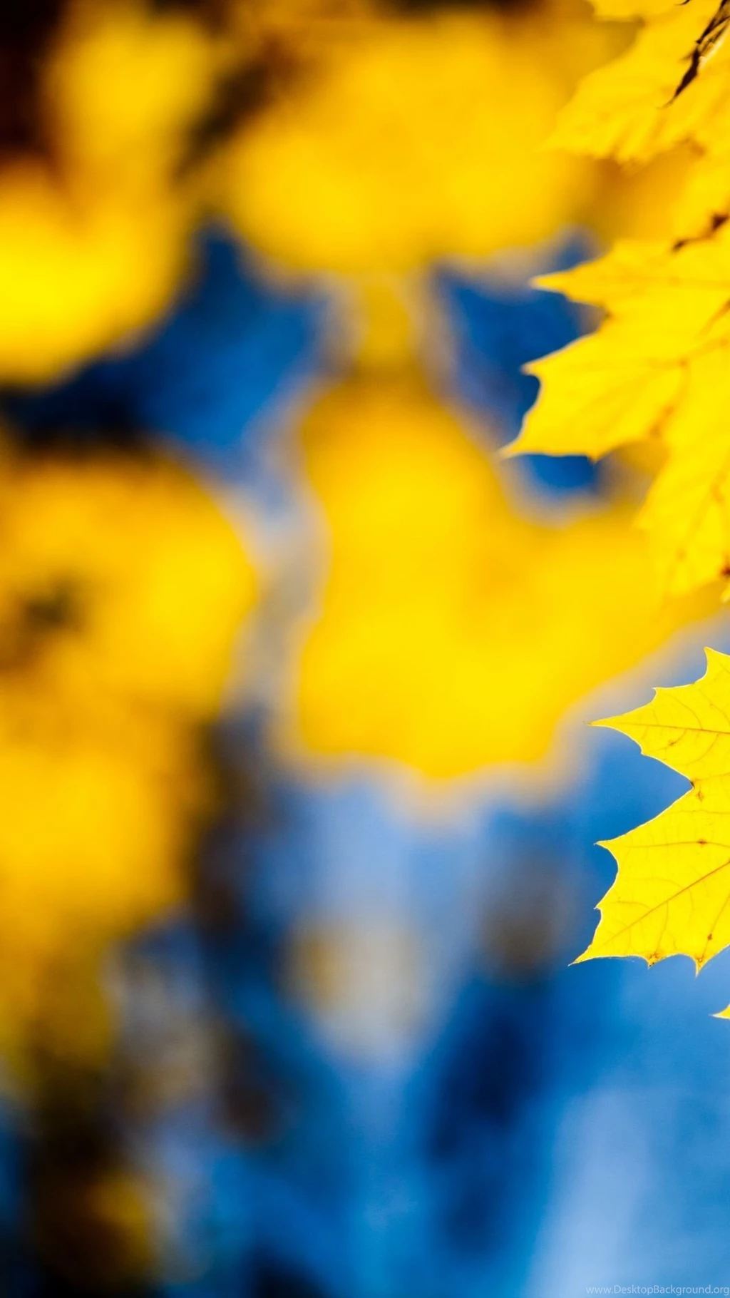 Lovely Galaxy S4 Wallpapers 5142 1080 X 1920 WallpaperLayer.com