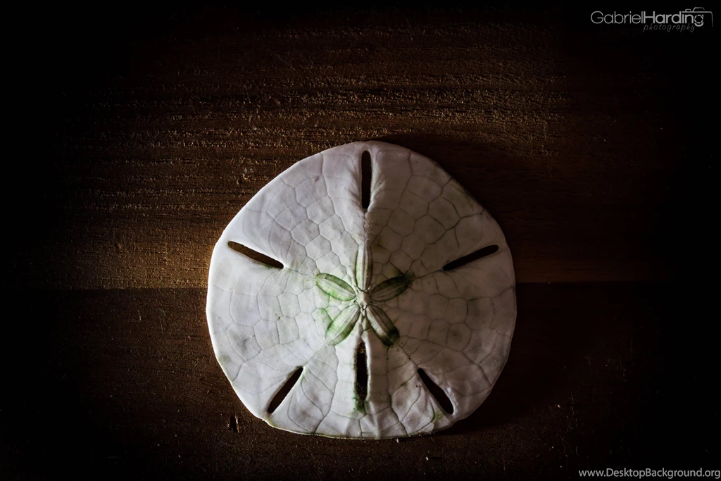 Wallpapers Wednesday – August 7th   I Need A Dollar   We Travel And ...