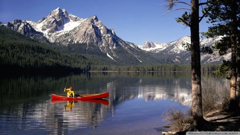 Trout Fishing HD Desktop Wallpapers : Widescreen : High Definition ...