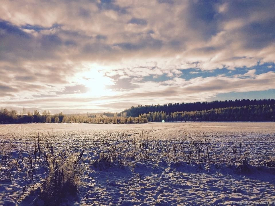 Snow, Backgrounds Free Images On Pixabay