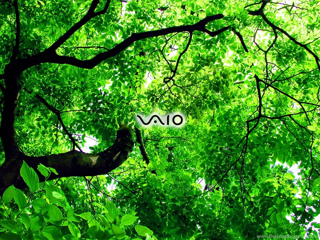 Sony vaio wallpaper 46.jpg
