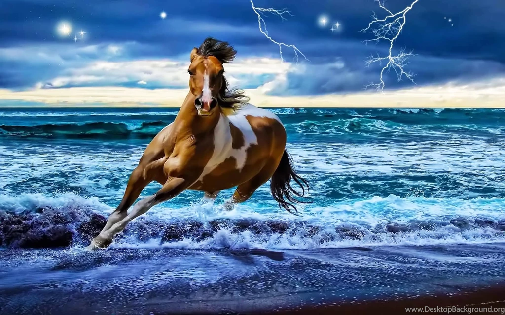 Backgrounds HD Animal Wallpapers