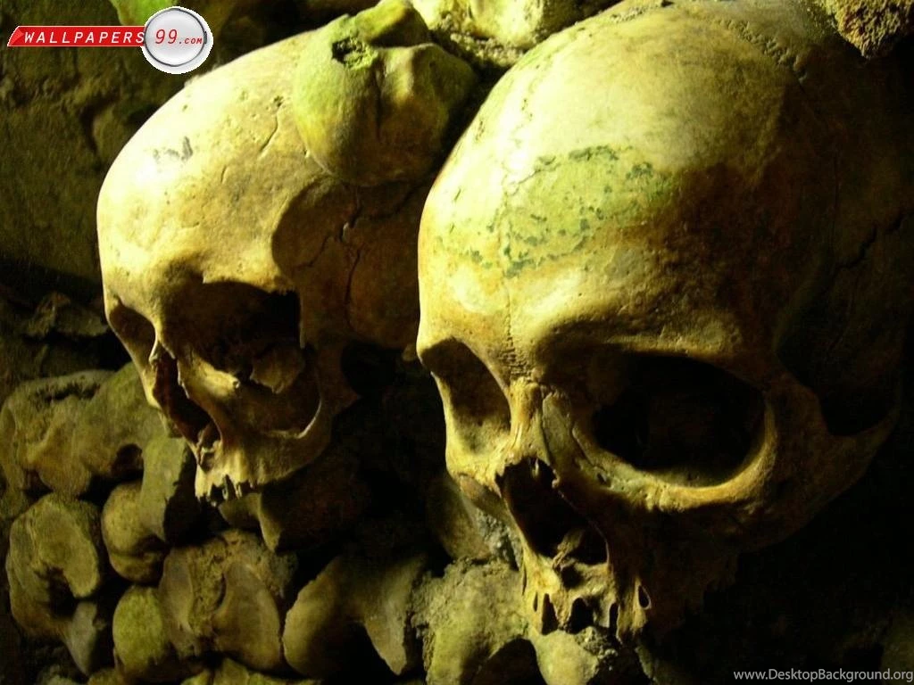 Scary Skull Wallpapers Picture Image 1024x768 18197