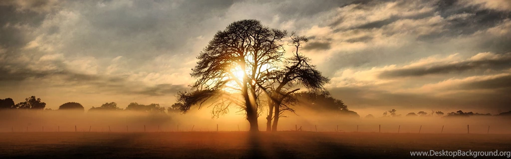 Dual Screen Wallpapers