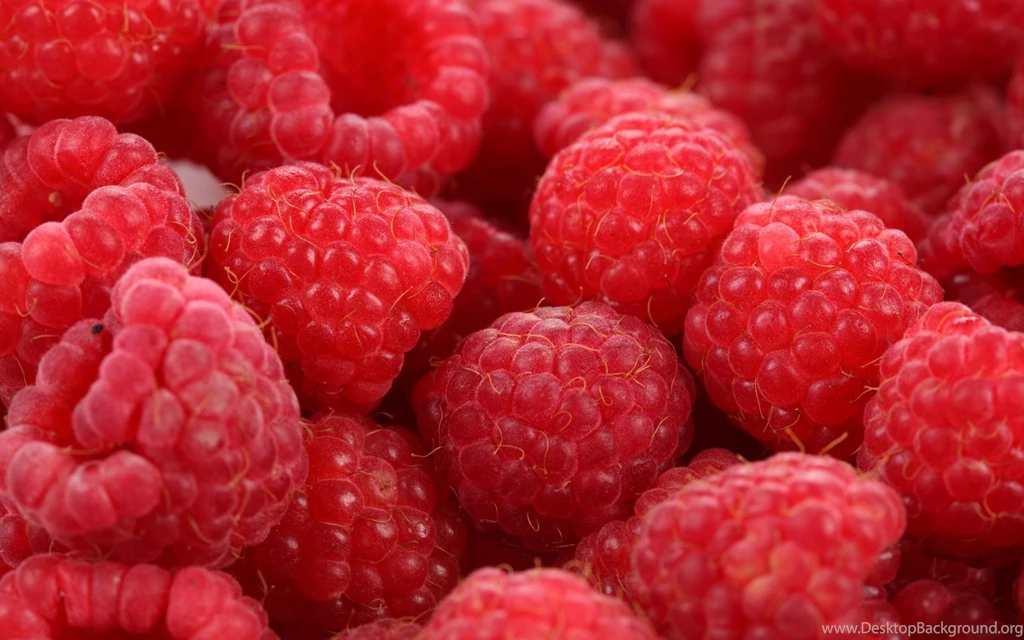 Raspberry Computer Wallpapers, Desktop Backgrounds