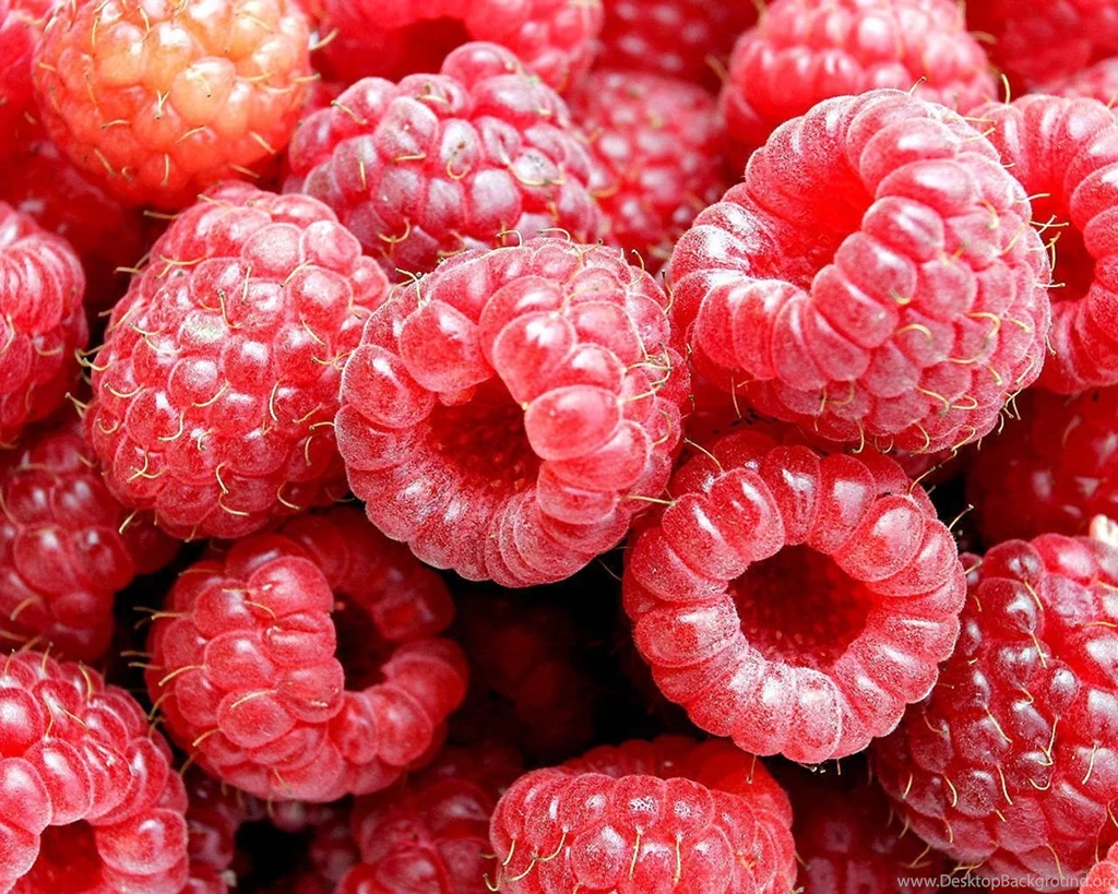Raspberry Food Wallpapers (4178406) Fanpop