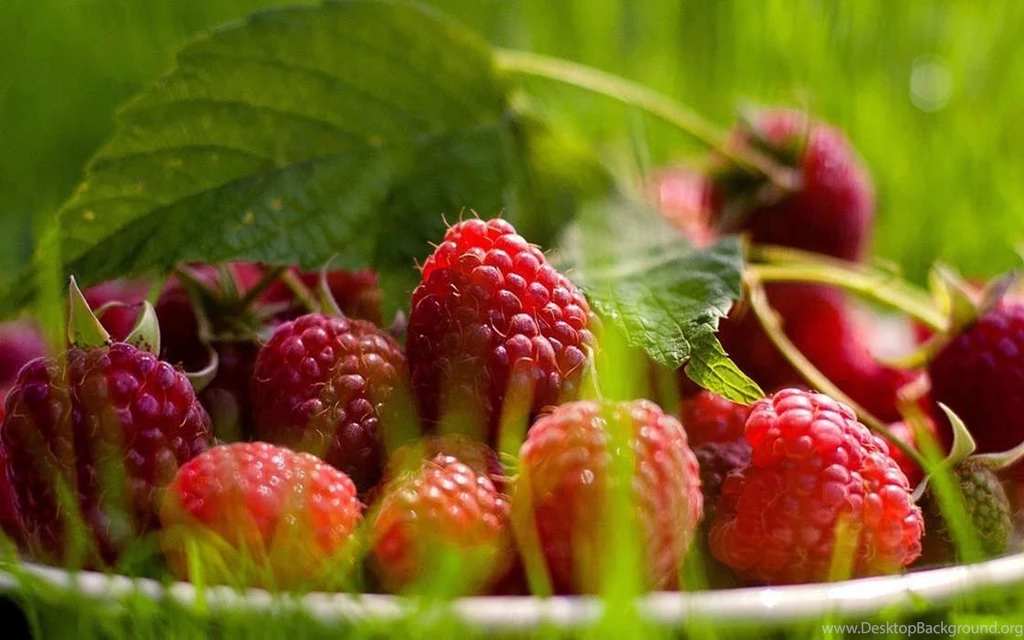 Download Mobile Wallpaper: Food, Background, Raspberry, Free. 27762.