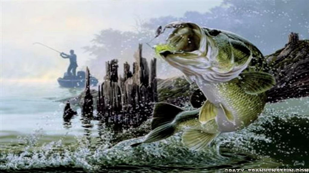 Fishermans Trouble Fish Wallpapers Free Desktop Backgrounds Free ...
