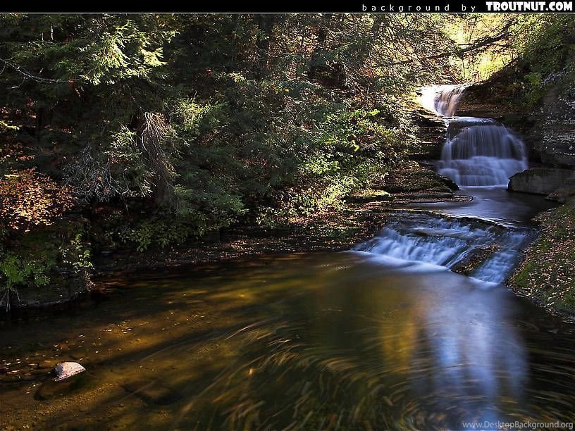 Free Desktop Backgrounds (Hi res Nature Photography)