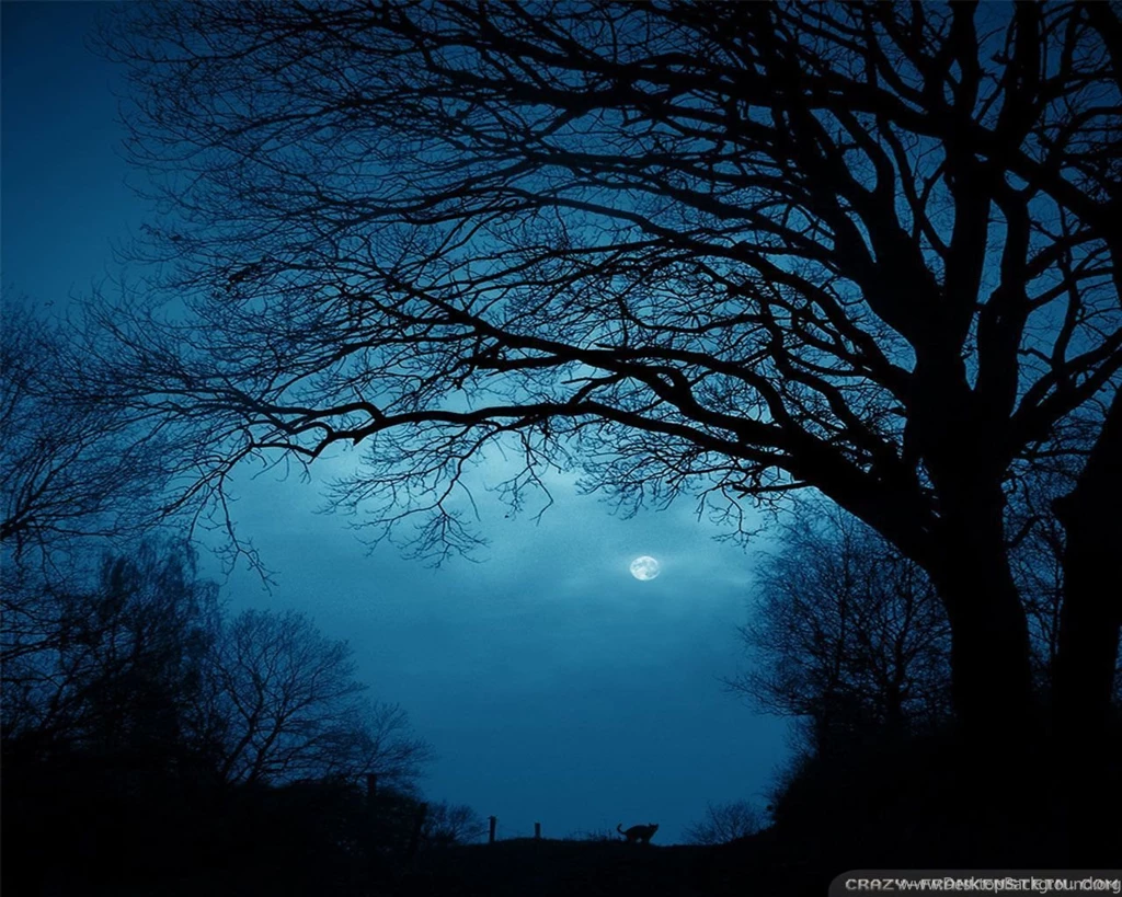 Summer Night Wallpapers Crazy Frankenstein