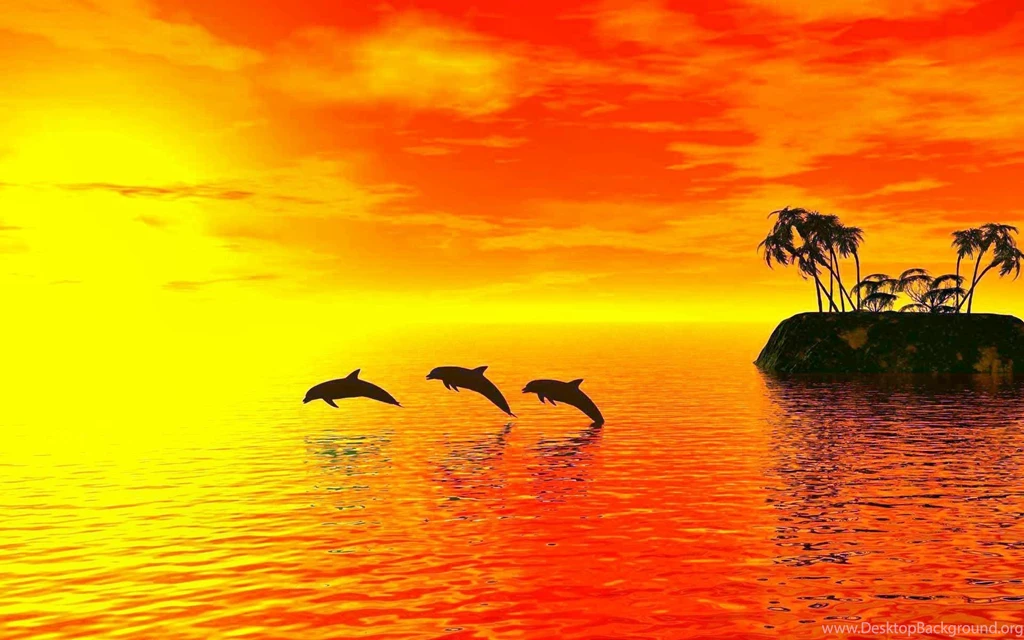 Beautiful Dolphin Fish Desktop Backgrounds Bestepics. Desktop ...
