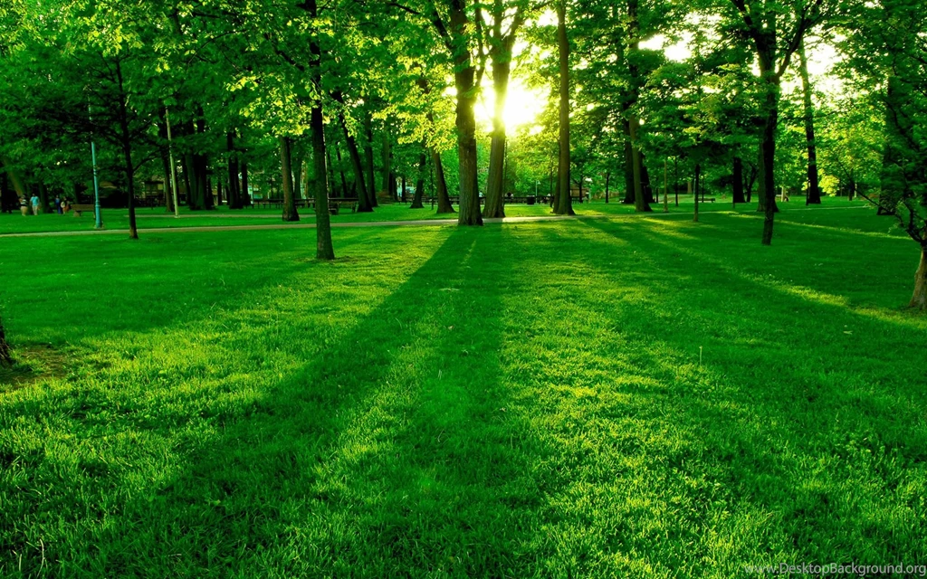 HD Spring Wallpapers HDWPlan