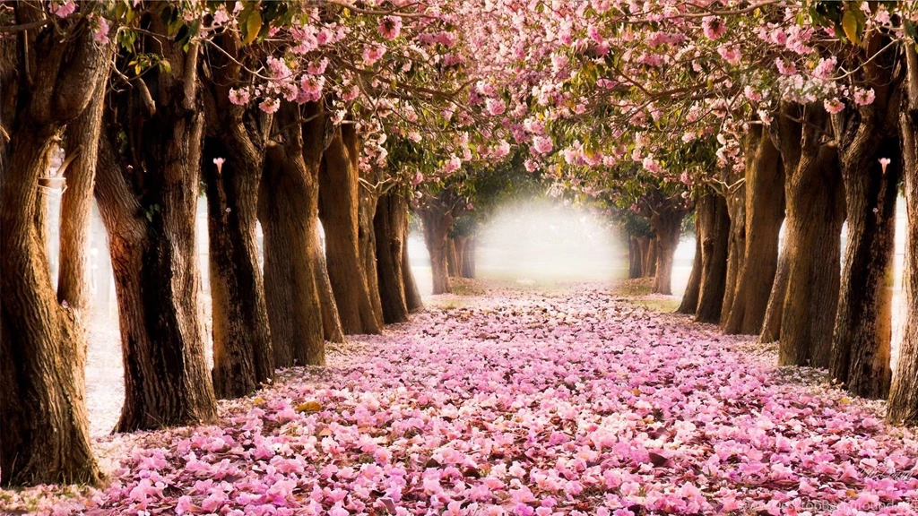 Desktop HD Spring Wallpapers CuteWallpaper.org
