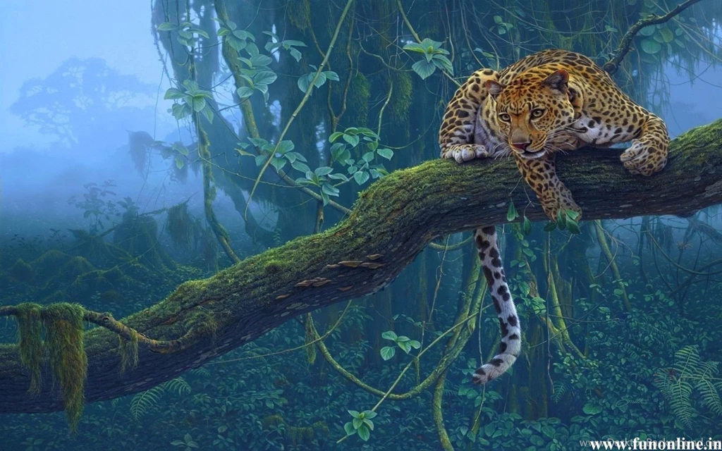 Leopard Wallpapers, Beautiful Leopards HD Wallpapers Download Free