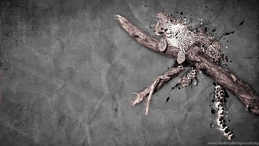 Leopard HD Wallpapers 2012 By Mu6 On DeviantArt