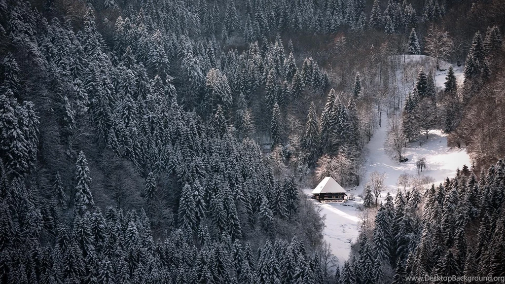 Snowy black forest winter wallpaper 1920×1080[1]