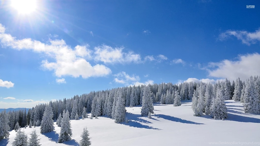 Amazing Bright Sun Over The Snowy Forest Wallpapers Nature ...