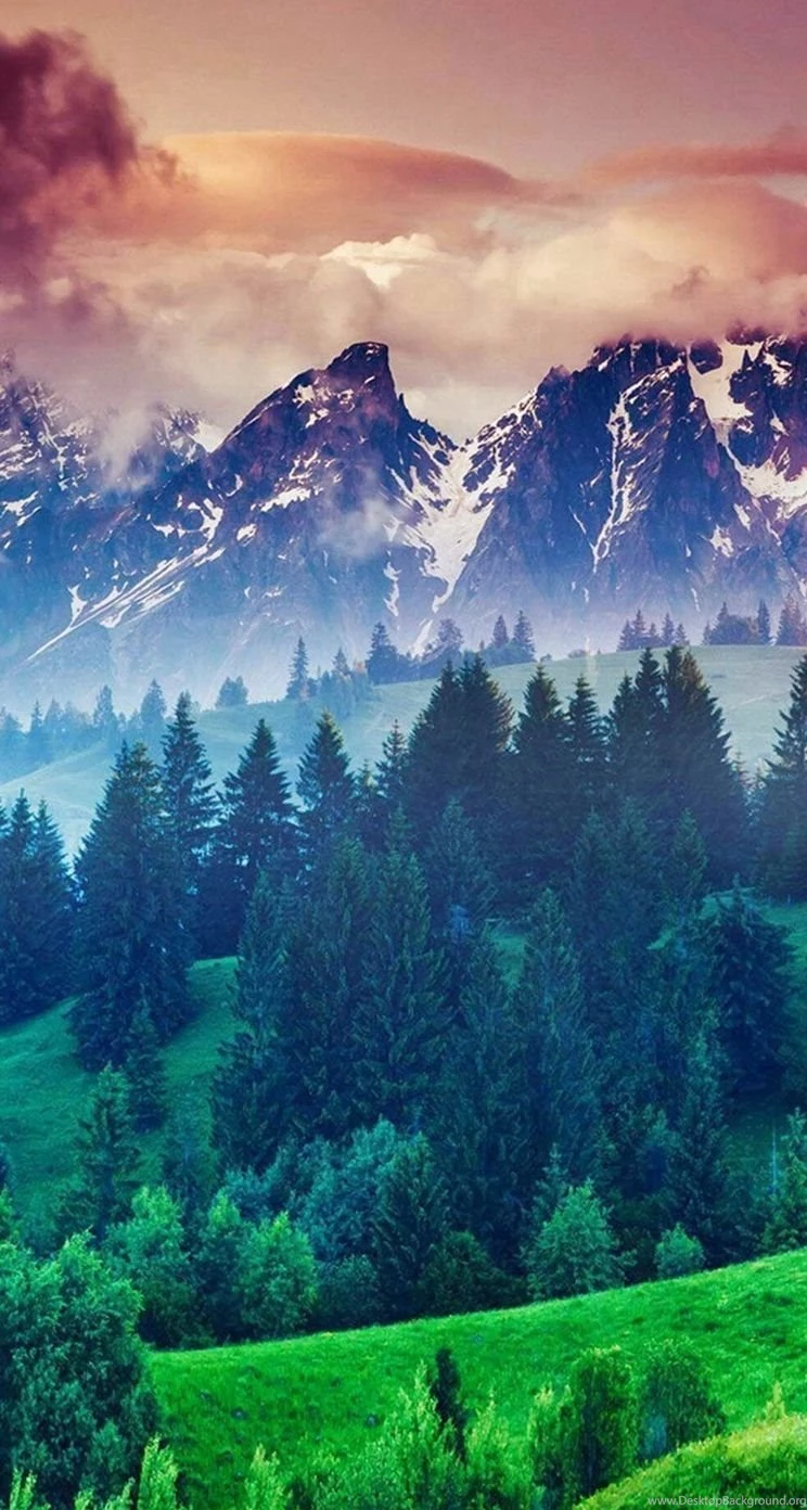 Forest iPhone 5s Wallpapers