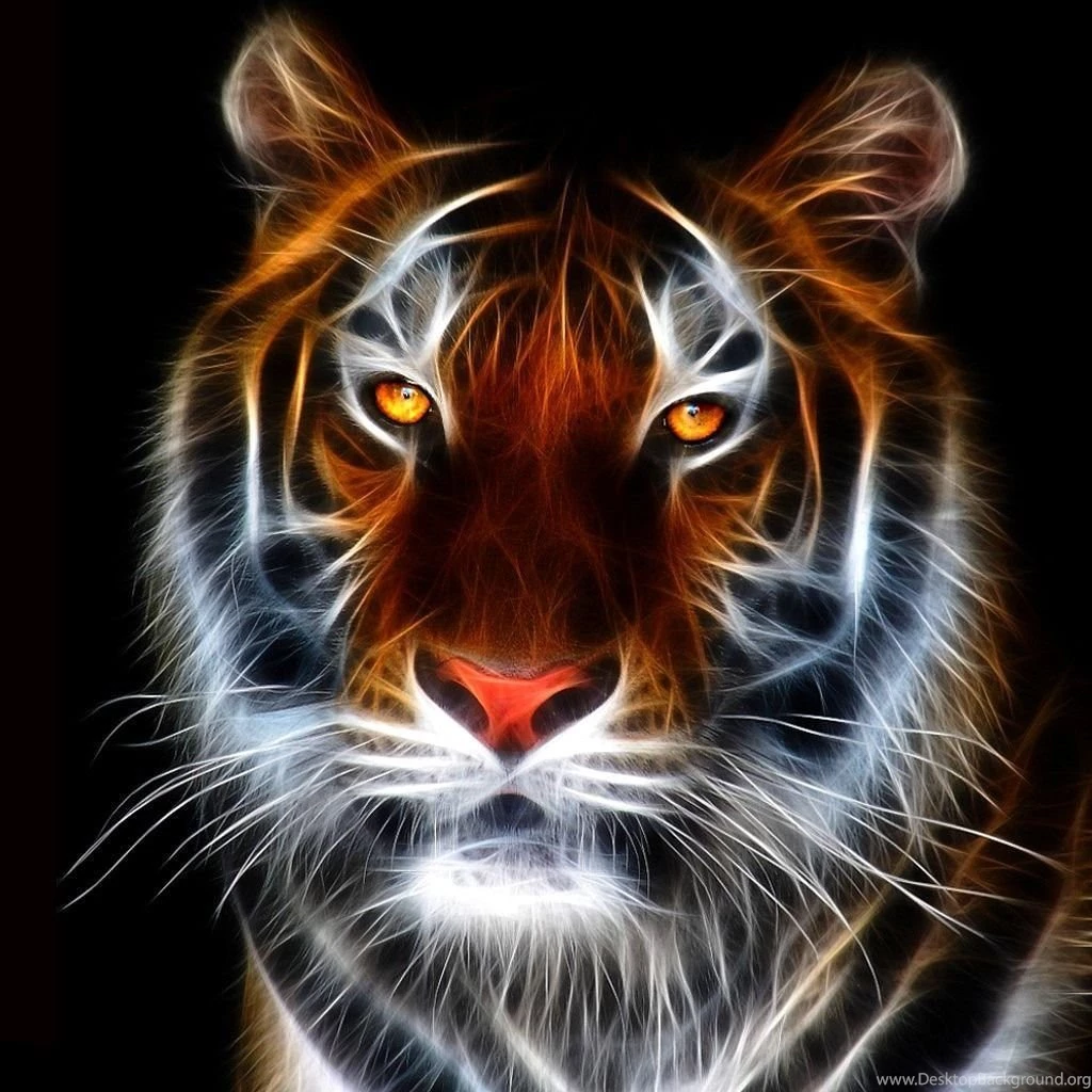 Download Tiger Wallpapers For Mobile