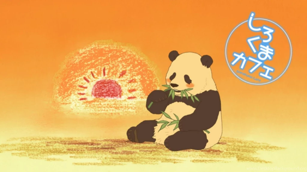 Shirokuma Cafe HD Wallpapers