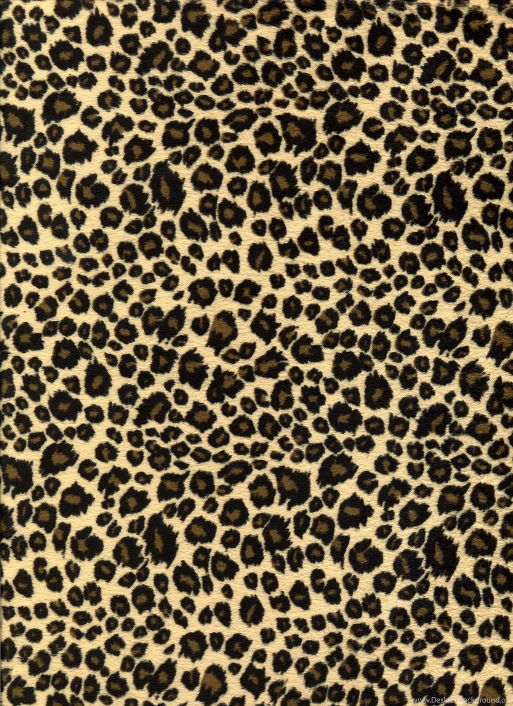 Leopard Print Wallpapers   Best Car 2015