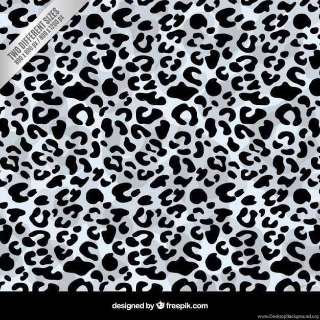 Leopard Vectors, Photos And PSD Files