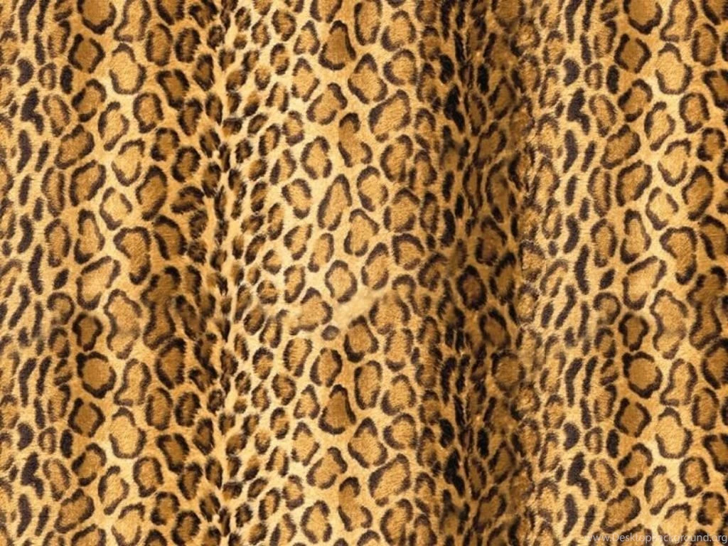 Leopard Wallpapers Wallpapers High Definition