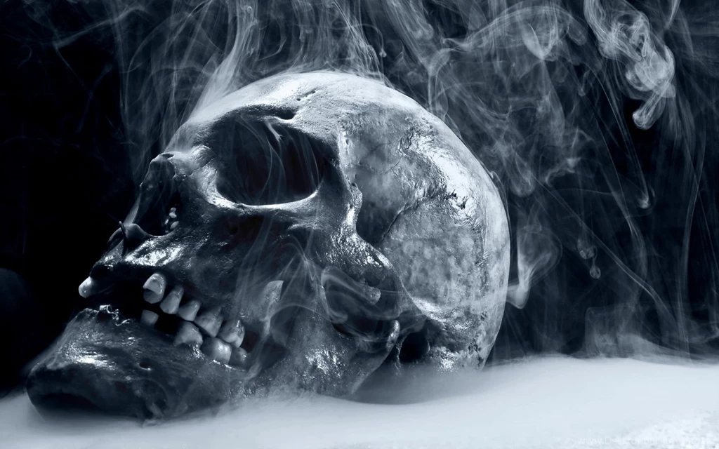 Scary Frozen Skull Wallpapers HD