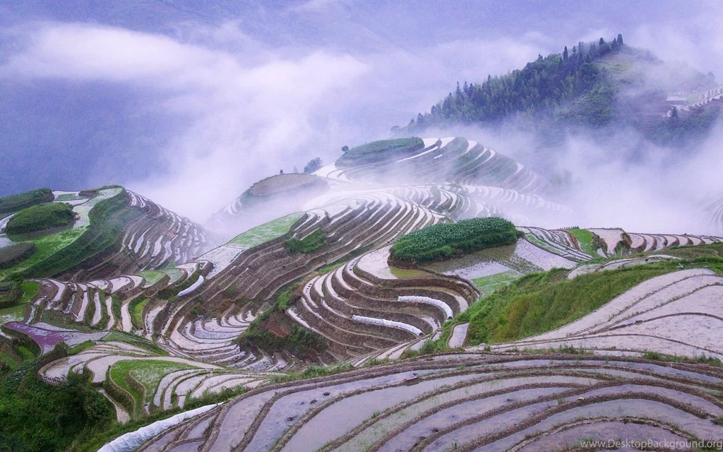 China Wallpapers