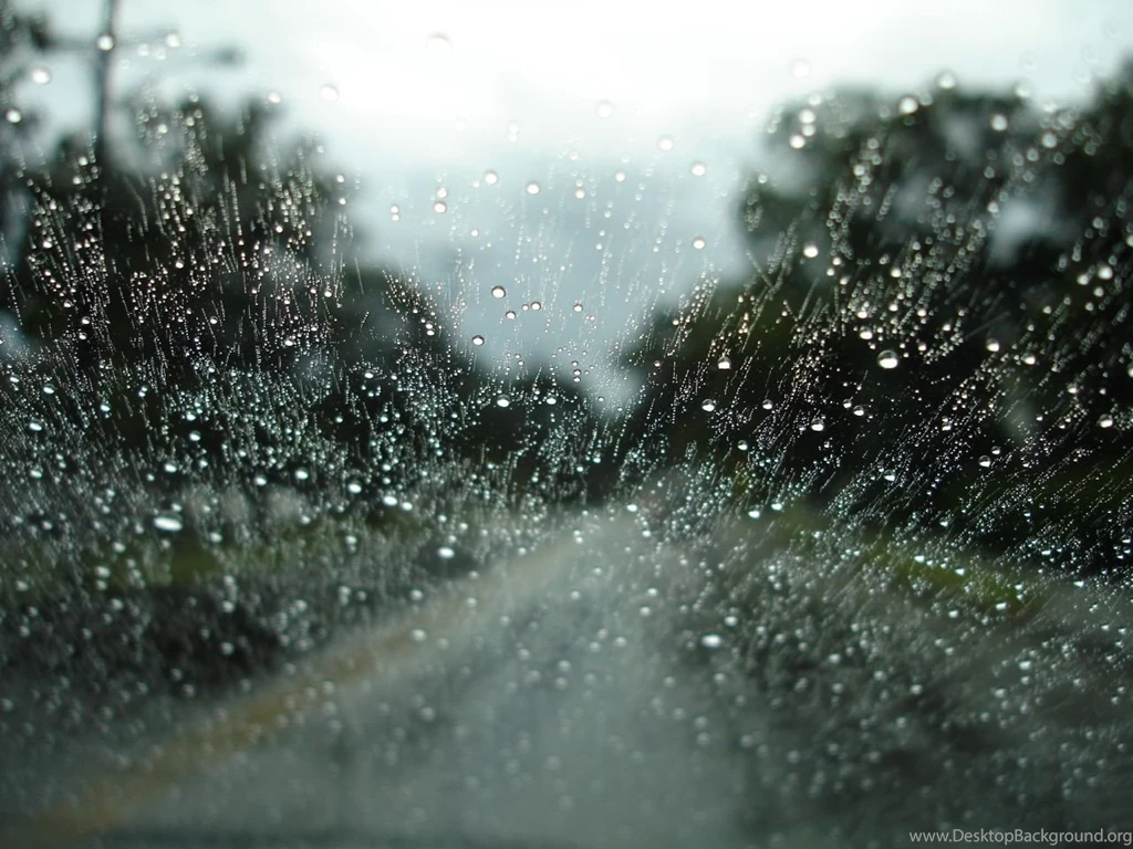 Rainy S Wallpapers